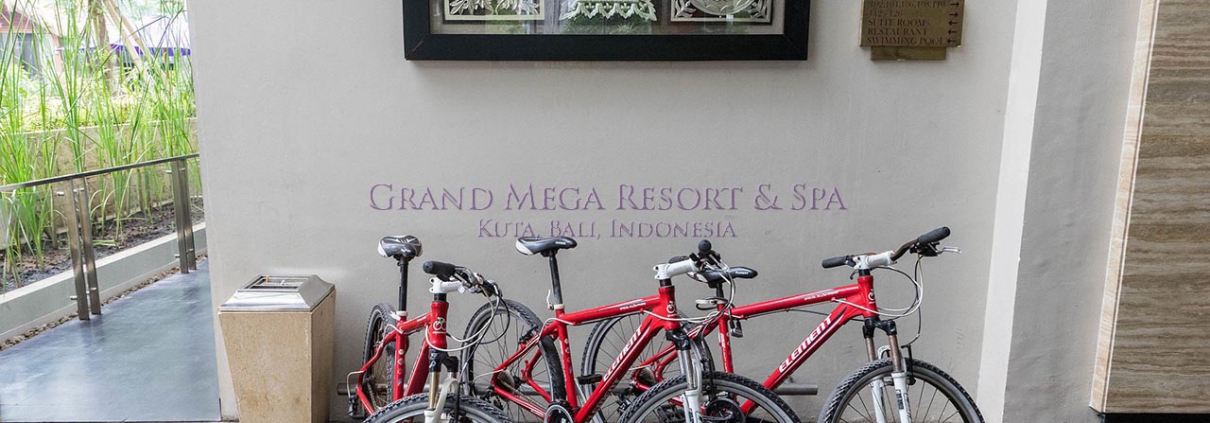 Grand Mega Resort & Spa Bali Fitness Bicycle